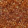 TOHO 11/0 Round Beads SEED-XTR11-0753-2