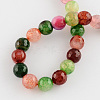 Dyed Natural Multi-Color Agate Beads Strands G-R177-6mm-04-2