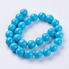 Synthetic Turquoise Beads Strands G-E456-44-14mm-2