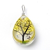 Transparent Glass Pendants GLAA-SZC0001-01B-1