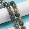 Natural Lodolite Quartz Beads Strands G-R494-A15-03-4