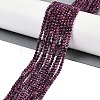 Natural Ruby Beads Strands G-P553-G01-02-1