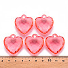Transparent Acrylic Pendants TACR-T024-03B-910-4