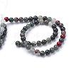 Natural African Bloodstone Beads Strands G-R345-8mm-50-2