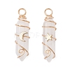 2Pcs 2 Styles Natural Quartz Crystal Double Terminated Pointed Pendants PALLOY-JF03122-05-1