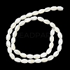 Natural Trochus Shell Beads Strands BSHE-E030-02B-3