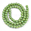 Electroplate Opaque Glass Beads Strands GLAA-T032-P6mm-AB06-3