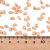 Baking Paint Glass Seed Beads SEED-T006-03E-4