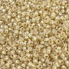 MIYUKI Round Rocailles Beads SEED-G007-RR0578-3