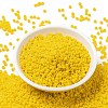 MIYUKI Round Rocailles Beads X-SEED-G008-RR0404D-2