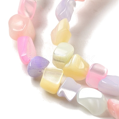 Rainbow Color Dyed Natural Freshwater Shell Beads Strands X1-SHEL-G018-02E-1
