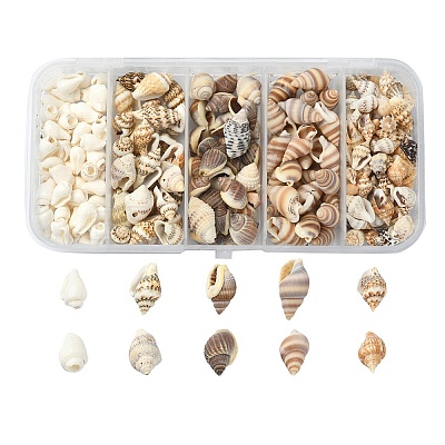 5 Styles Mixed Natural Shell Beads SSHEL-YW0001-03-1