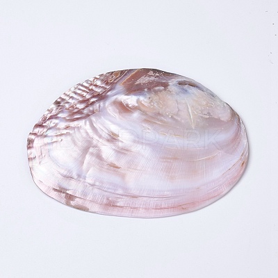 Natural Freshwater Pearl Shell Decoration SHEL-K002-01A-1