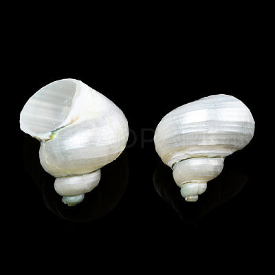 Natural Spiral Shell Beads SSHEL-N034-126-1