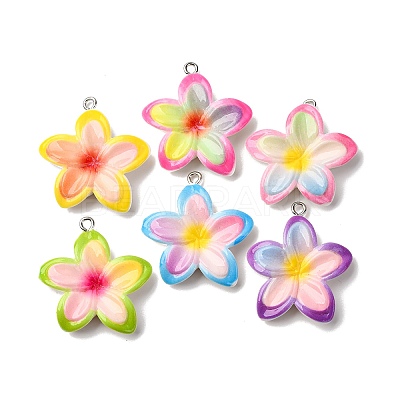 Opaque Resin Pendants RESI-A046-05E-1