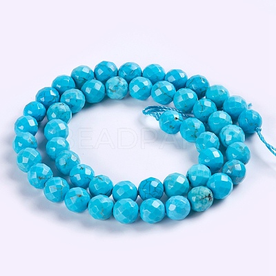 Natural Howlite Beads Strands TURQ-P027-40-1