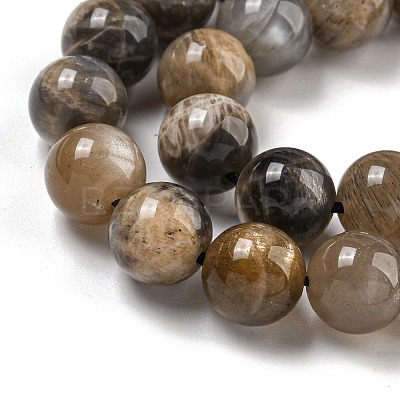 Natural Black Moonstone Beads Strands G-Q183-A01-01-1