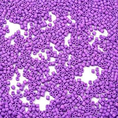 Baking Paint Glass Seed Beads X-SEED-S042-05B-72-1