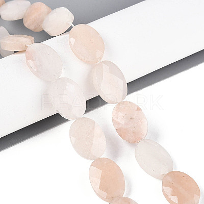 Natural Pink Aventurine Beads Strands G-S354-13x18-A09-1