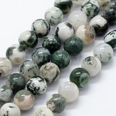 Natural Tree Agate Beads Strands G-I199-03-8mm-1