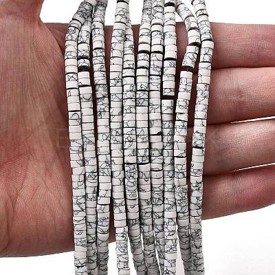 Dyed Synthetic Turquoise Beads Strands G-Z089-A04-B-1