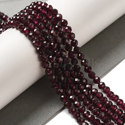 Natural Garnet Beads Strands G-F460-28-01-1