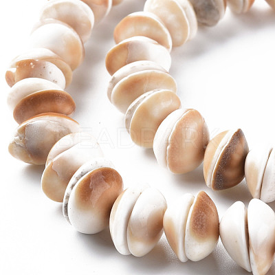 Natural Shell Beads Strands SSHEL-N034-100-1