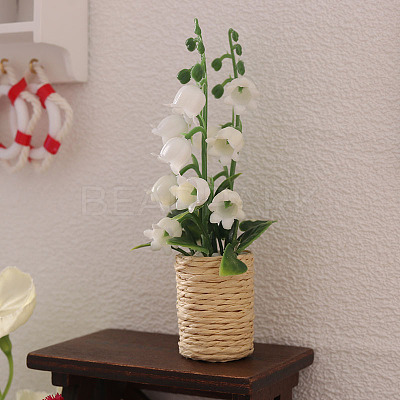 Platic Miniature Ornaments PW-WG36445-01-1