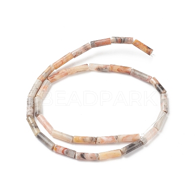 Natural Crazy Lace Agate Beads Strands X-G-F247-33-1