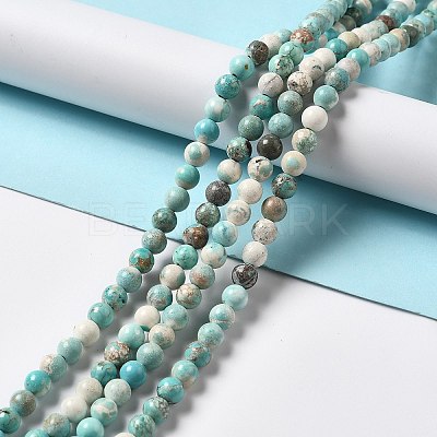 Natural Howlite Beads Strands X-G-L555-02B-02-1