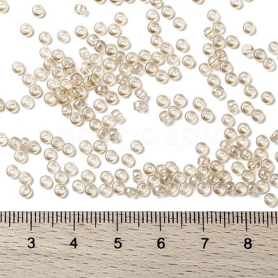MIYUKI Round Rocailles Beads X-SEED-G008-RR0161-1