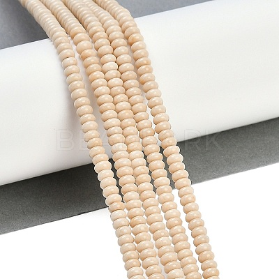 Natural Fossil Beads Strands G-K343-C24-01-1