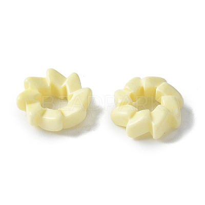 Natural Rainbow Alashan Agate European Beads G-G194-06B-1