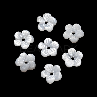Natural White Shell Beads SH-CBA93AD-07A-1