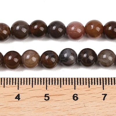 Natural Petrified Wood Round Bead Strands G-F266-08-6mm-1