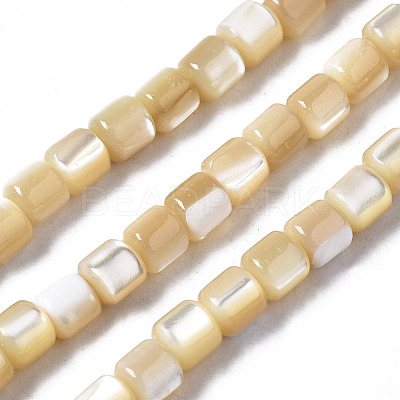 Natural Trochid Shell/Trochus Shell Beads Strands SSHEL-N034-77-B01-1
