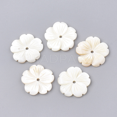 Natural Freshwater Shell Beads X-SHEL-S274-06-1