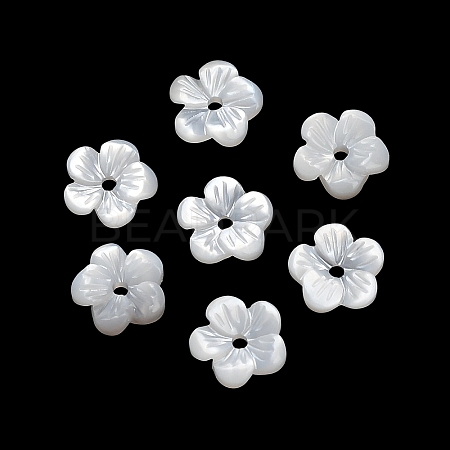 Natural White Shell Beads SH-CBA93AD-07A-1