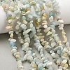 Natural Flower Amazonite Chips Beads Strands X-G-M205-12B-9