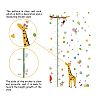 PVC Height Growth Chart Wall Sticker DIY-WH0232-002-3