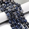Natural Sodalite Beads Strands G-G146-A03-02-2