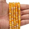 Natural Banded Agate Beads Strands G-Z111-A01-02-2