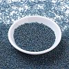MIYUKI Round Rocailles Beads SEED-G007-RR2459-2