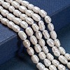 Natural Cultured Freshwater Pearl Beads Strands X-PEAR-L001-02-2