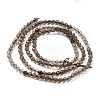 Natural Smoky Quartz Beads Strands G-E608-A04-2