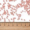 8/0 Transparent Glass Seed Beads SEED-F003-03B-05-4