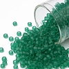 TOHO Round Seed Beads X-SEED-TR08-0072F-1