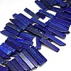Natural Gemstone Lapis Lazuli Beads Strands G-L156-05-1