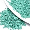 11/0 Grade A Baking Paint Glass Seed Beads SEED-S030-1038-1