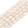 Natural Cultured Freshwater Pearl Beads Strands PEAR-P064-20H-03A-2
